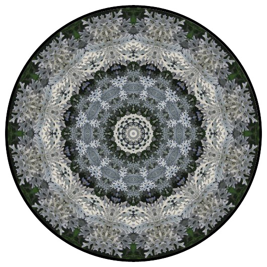 botanical mandala, mandala art