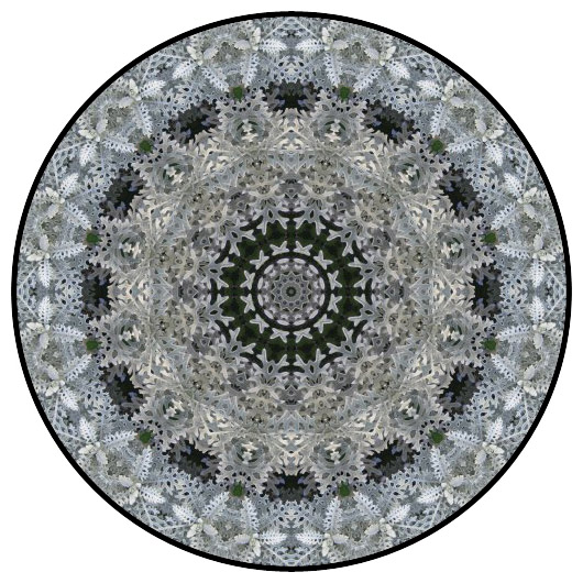 botanical mandala, mandala art