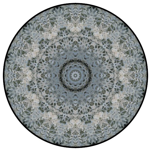 botanical mandala, mandala art