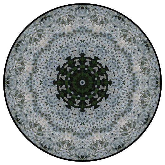 botanical mandala, mandala art