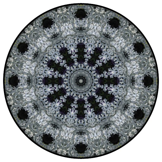 botanical mandala, mandala art