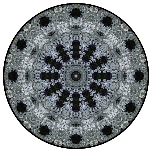 botanical mandala, mandala art