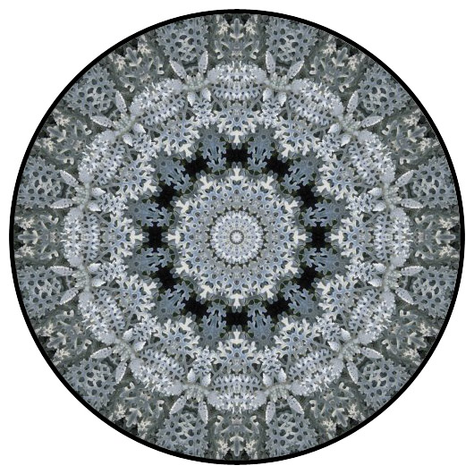 botanical mandala, mandala art