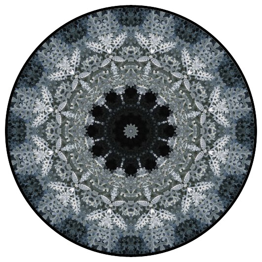 botanical mandala, mandala art