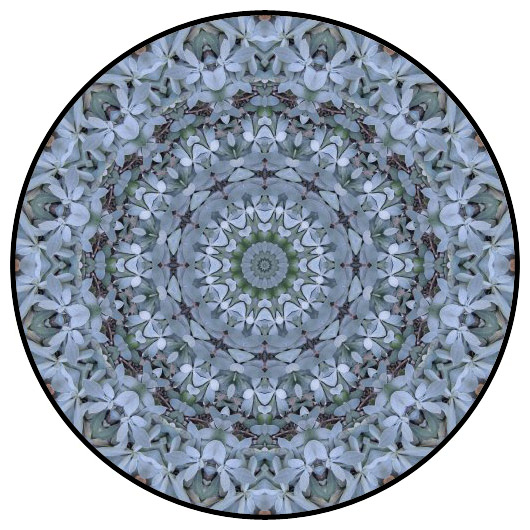 botanical mandala, mandala art