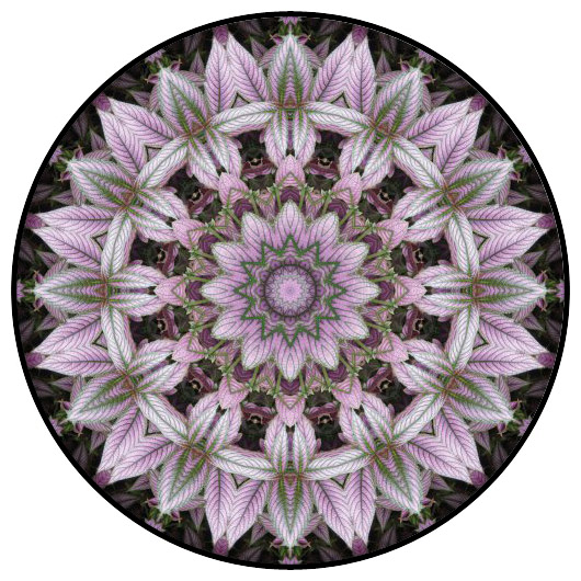 botanical mandala, mandala art