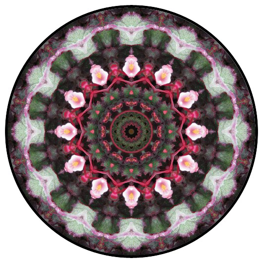 botanical mandala, mandala art