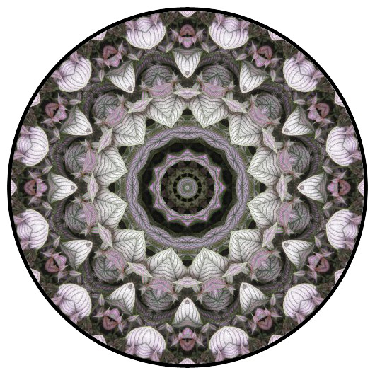 botanical mandala, mandala art