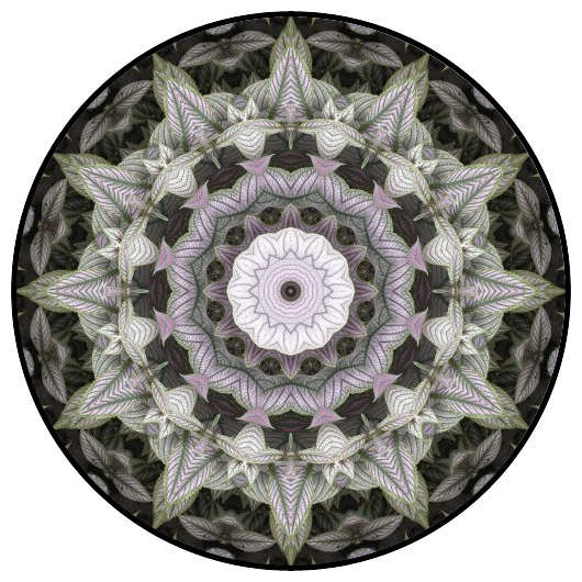 botanical mandala, mandala art