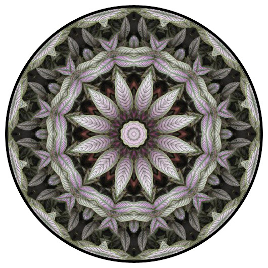 botanical mandala, mandala art