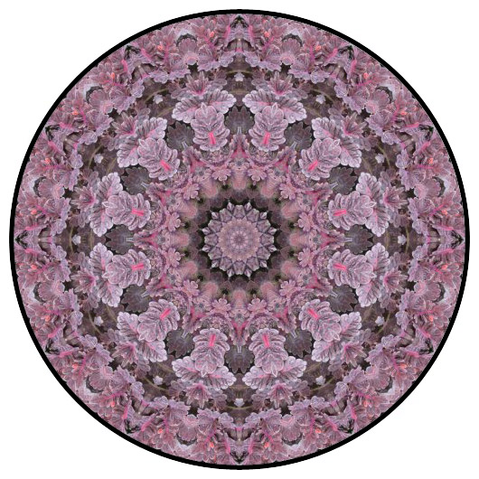 botanical mandala, mandala art