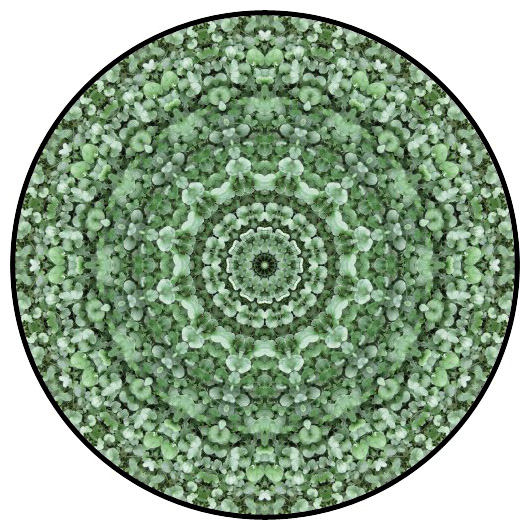 botanical mandala, mandala art