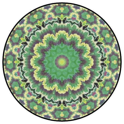 botanical mandala, mandala art