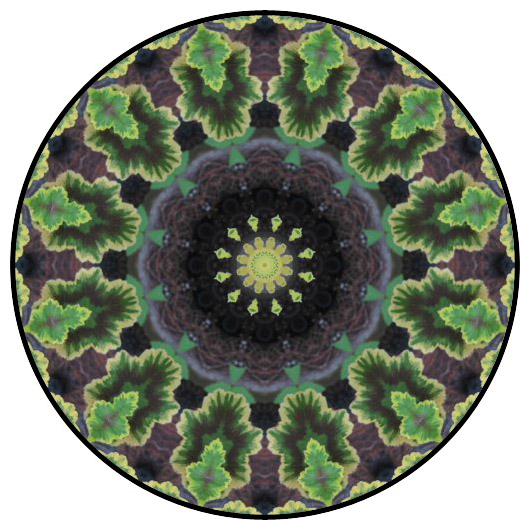 botanical mandala, mandala art