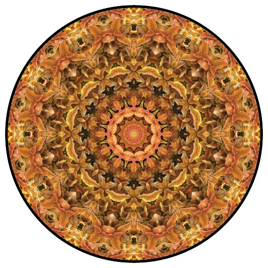 botanical mandala, mandala art