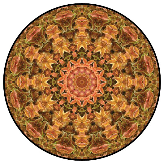 botanical mandala, mandala art