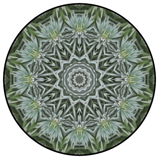 botanical mandala, mandala art