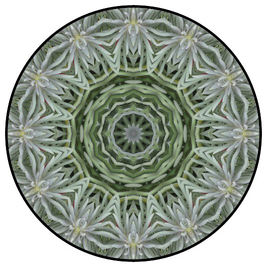 botanical mandala, mandala art