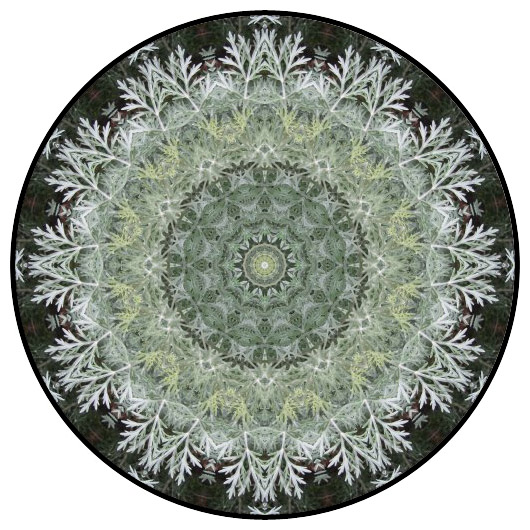 botanical mandala, mandala art