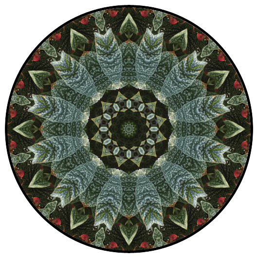 botanical mandala, mandala art