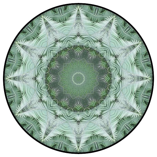 botanical mandala, mandala art