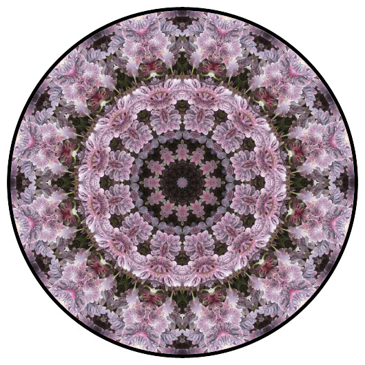 botanical mandala, mandala art