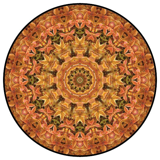 botanical mandala, mandala art