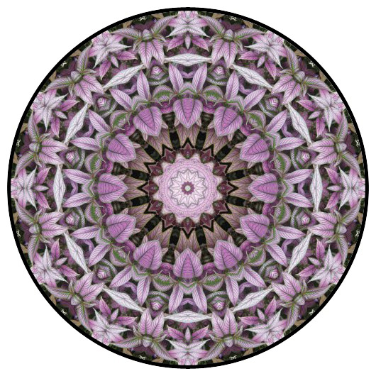 botanical mandala, mandala art