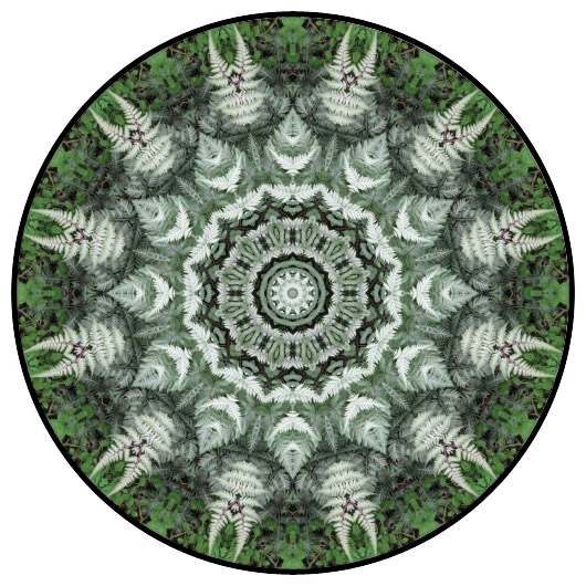botanical mandala, mandala art