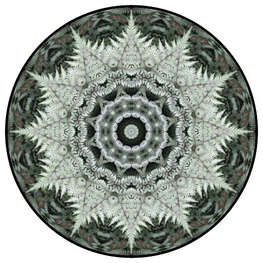 botanical mandala, mandala art