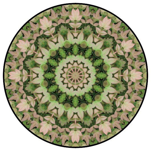 botanical mandala, mandala art