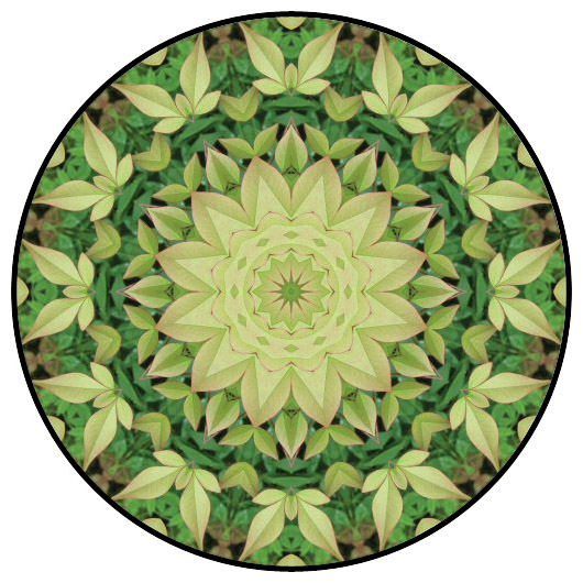 botanical mandala, mandala art