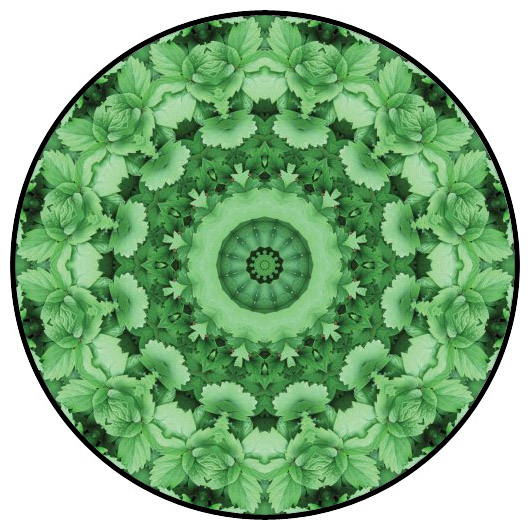 botanical mandala, mandala art
