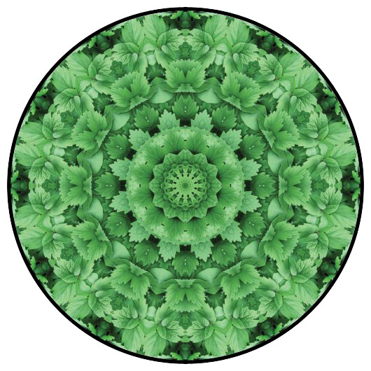 botanical mandala, mandala art