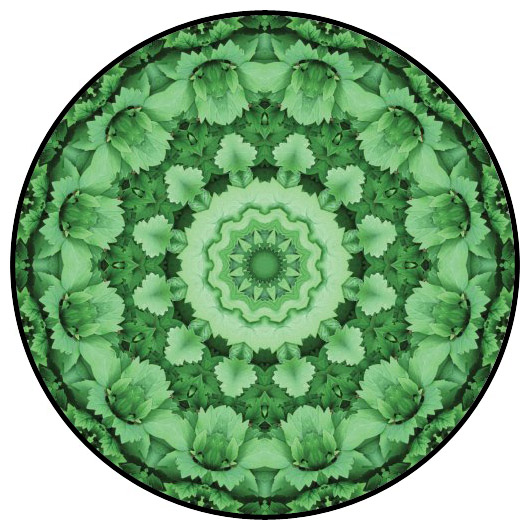 botanical mandala, mandala art