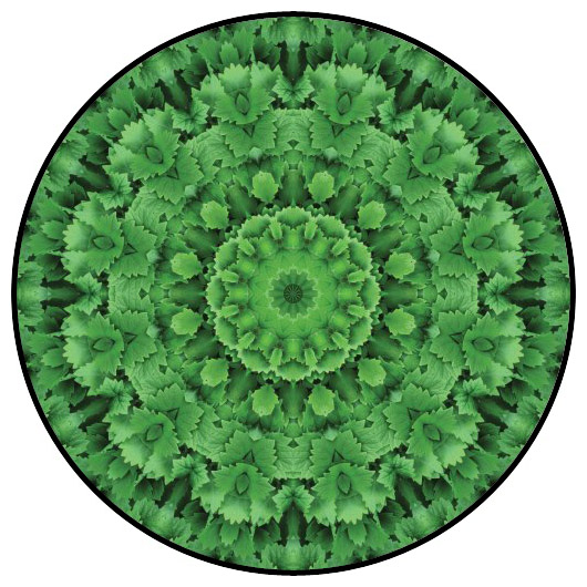 botanical mandala, mandala art
