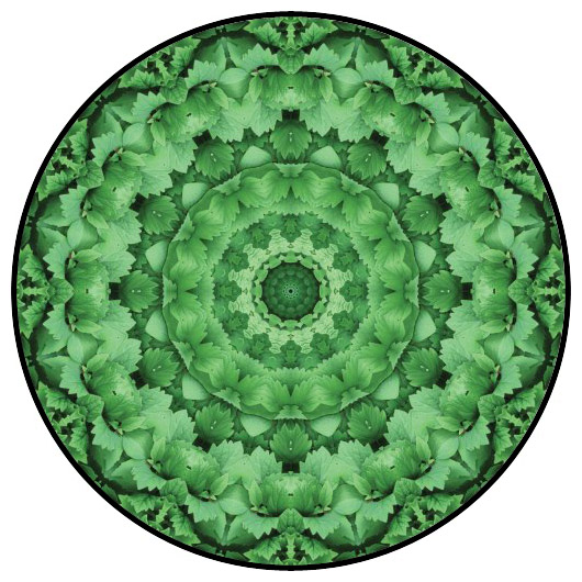 botanical mandala, mandala art