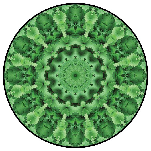botanical mandala, mandala art