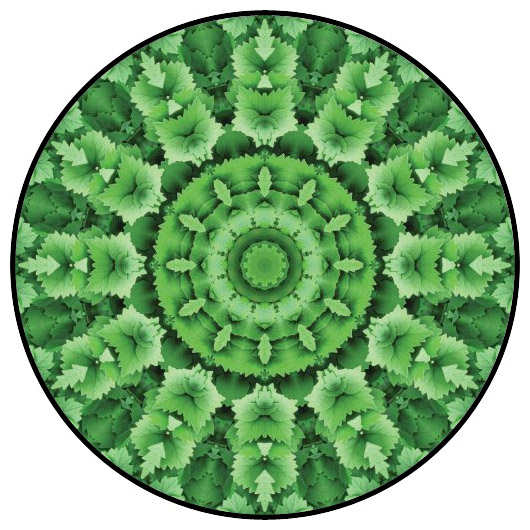 botanical mandala, mandala art