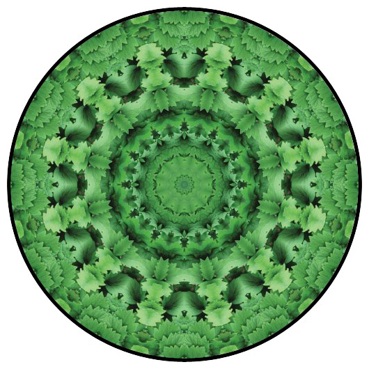 botanical mandala, mandala art
