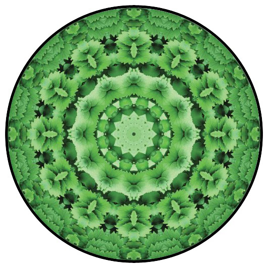 botanical mandala, mandala art