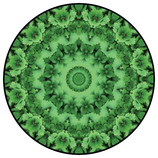 botanical mandala, mandala art