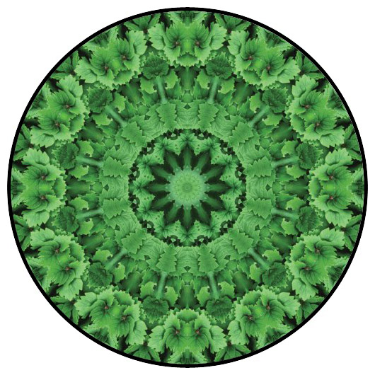 botanical mandala, mandala art