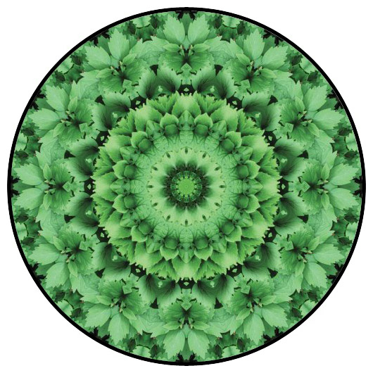 botanical mandala, mandala art