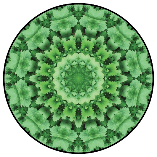 botanical mandala, mandala art