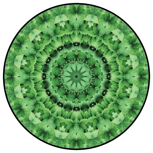 botanical mandala, mandala art