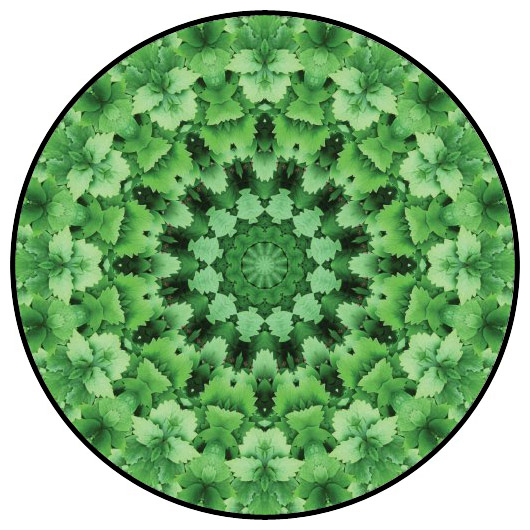 botanical mandala, mandala art