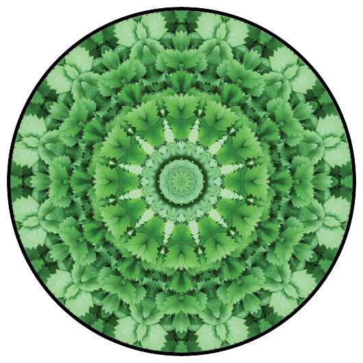 botanical mandala, mandala art