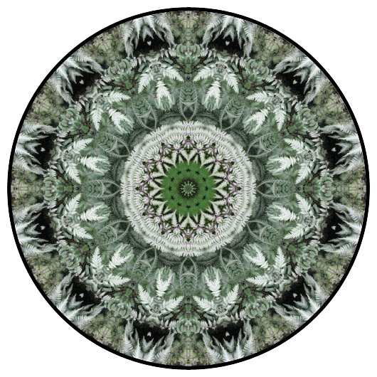 botanical mandala, mandala art