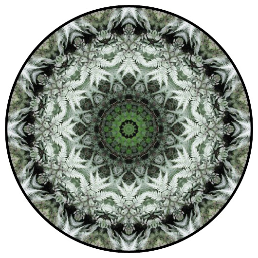 botanical mandala, mandala art